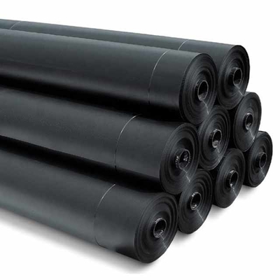 Tấm lót màng chống thấm LDPE