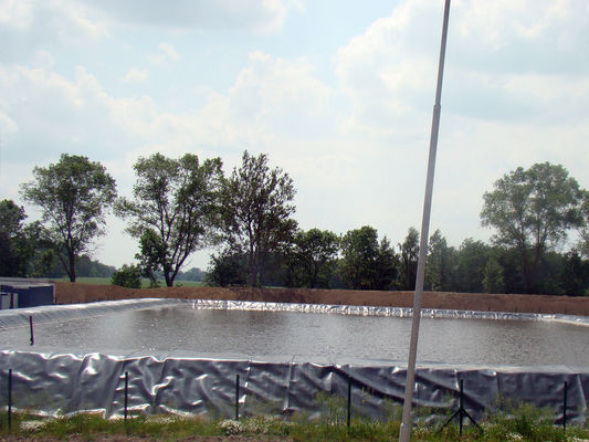 Tuổi thọ 10 năm, ao cá xanh và bền