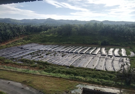 ỐNG ĐỊA VẢI KHỬ NƯỚC ĐƯỢC SỬ DỤNG ĐỂ GIÚP BIẾN BÙN THẢI NHÀ MÁY DẦU CỌ THÀNH PHÂN BÓN