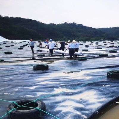Màng địa kỹ thuật HDPE màu đen có độ thấm thấp cho hệ thống chứa thứ cấp