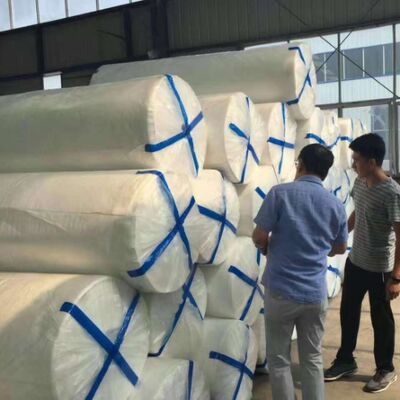 Bộ lọc tốt thân thiện với môi trường 150g 200g 300g PET Long Fiber Needle Punched Non Woven Geotextile For Coastal Slope Protection