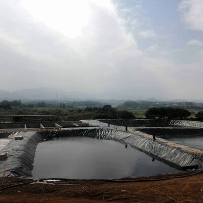 Liner Geomembrane HDPE bền Liner ao nông nghiệp cho nuôi trồng thủy sản an toàn