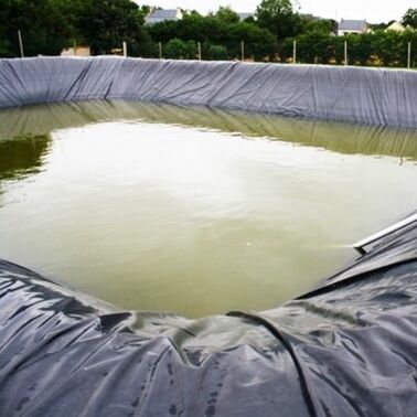 Liner Geomembrane HDPE bền Liner ao nông nghiệp cho nuôi trồng thủy sản an toàn