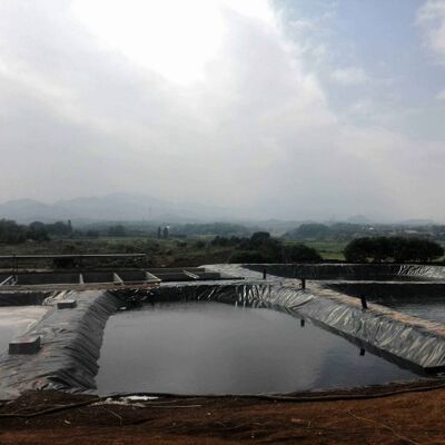 Lớp lót geomembrane HDPE an toàn cho cá cho hồ chứa tưới nông nghiệp
