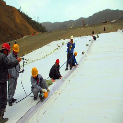 Lớp lót đệm vải địa kỹ thuật không dệt bằng kim đục lỗ cho tấm lót ao