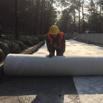 Lớp lót đệm vải địa kỹ thuật không dệt bằng kim đục lỗ cho tấm lót ao