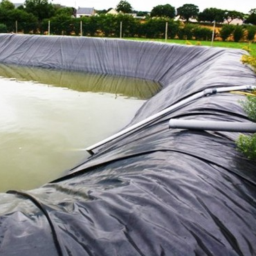 Tấm lót màng địa kỹ thuật chống thấm Root Barrier để cách nhiệt sân vườn trên mái nhà thương mại