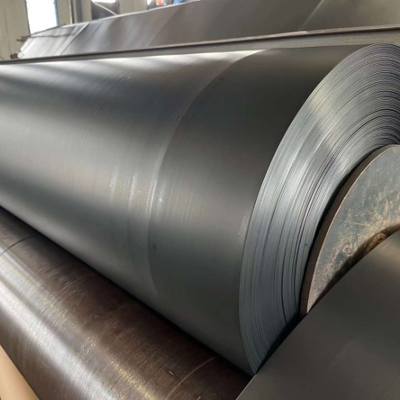 Tấm lót màng địa kỹ thuật chống thấm Root Barrier để cách nhiệt sân vườn trên mái nhà thương mại