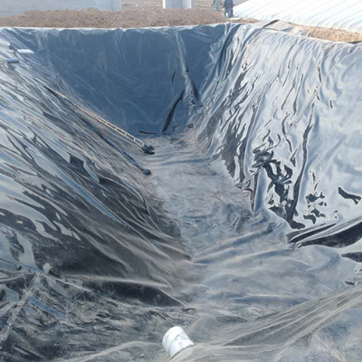 Lớp lót màng địa kỹ thuật HDPE kín khí cho nắp hầm khí sinh học nông nghiệp