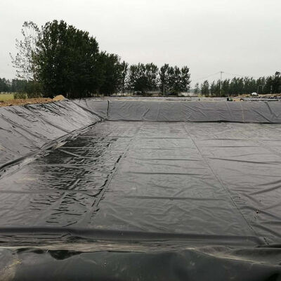 Lớp lót kênh thủy lợi Lớp lót màng địa kỹ thuật HDPE cho kênh bảo tồn nước