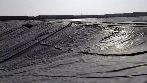 Tấm lót chống thấm HDPE dưới lòng đất Màng địa chất 4mm
