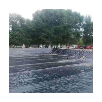 Tấm địa kỹ thuật tổng hợp HDPE Geomembrane để chống thấm Biofloc