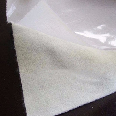 0,75 1,5mm 3mm Màng địa chất tổng hợp mịn HDPE Lót cuộn chôn lấp đường hầm