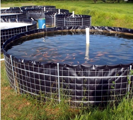 Bề mặt mịn PVC Geomembrane Liner Độ dày 0,2 ~ 3mm cho tôm cá ăn